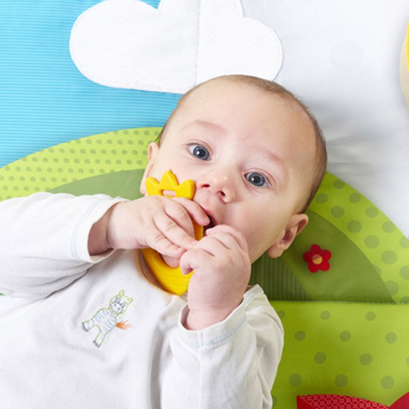 Duża mata edukacyjna Vesela Polyana Tiny Love 1205200030 - obrazek 5