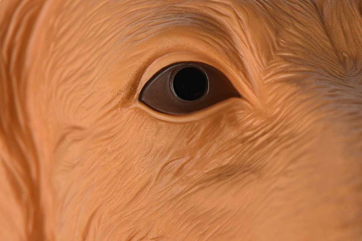 Zabawka dla psa Labrador Same Toy Glove X307Ut - obrazek 3