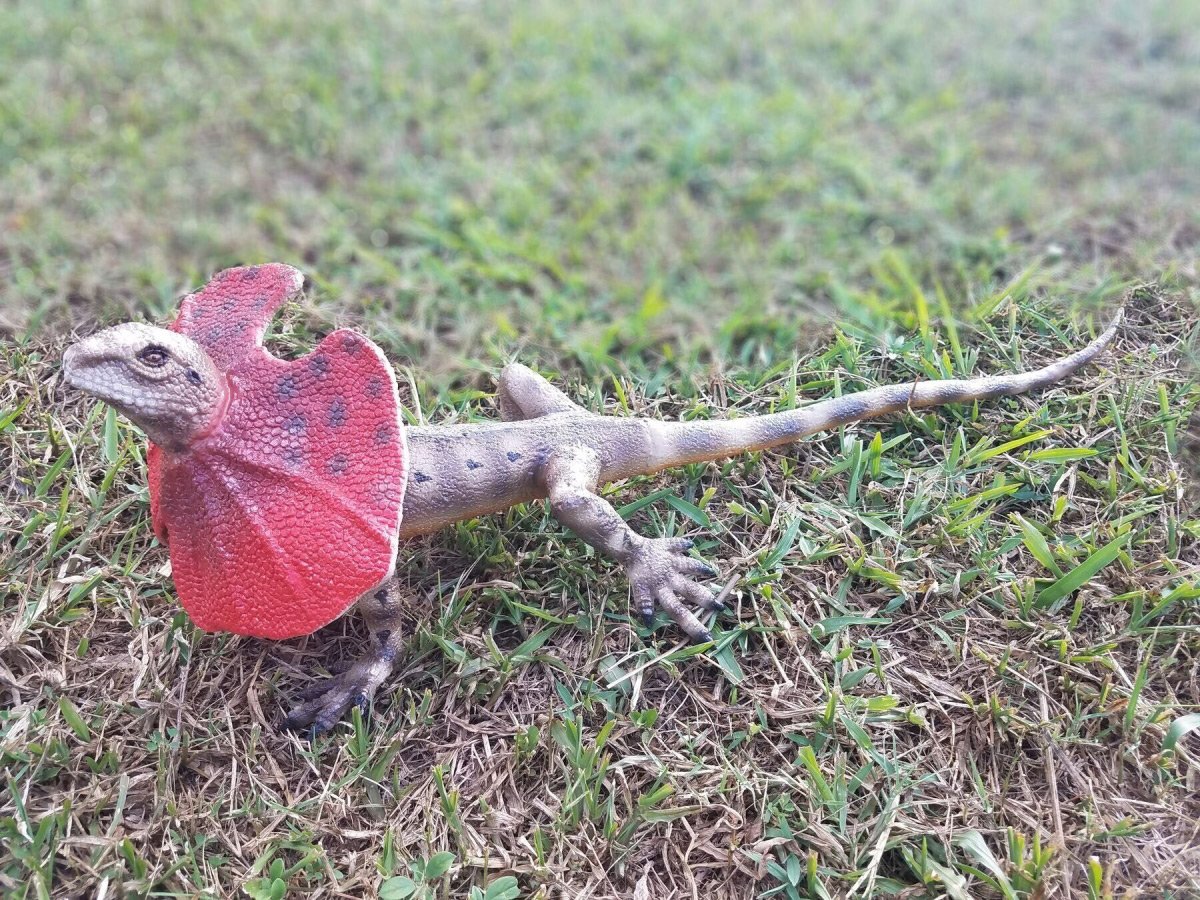 Jaszczurka z peleryną 55 cm LankaNovel 21550