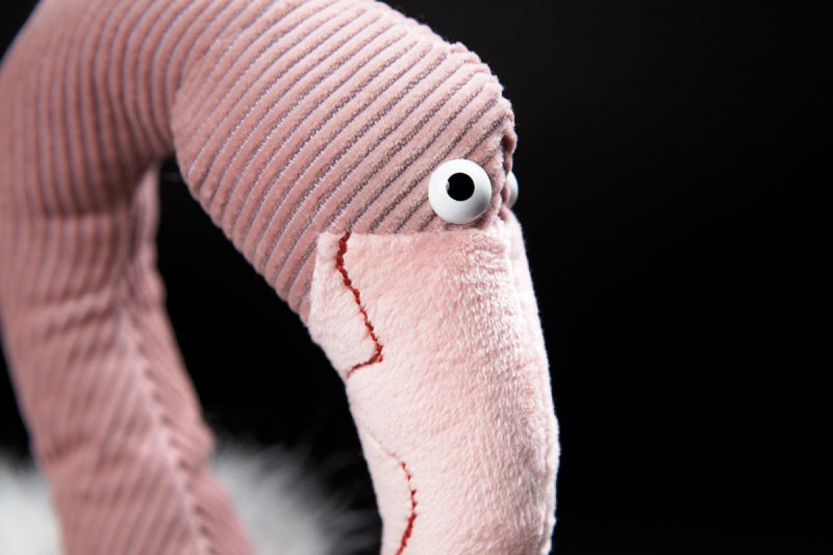 Sigikid Beasts Flamingo miękka zabawka 28 cm 38340SK - obrazek 2
