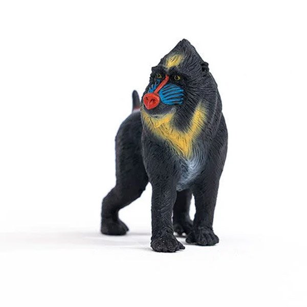 Figurka Schleich Mandrill 14856 - obrazek 5