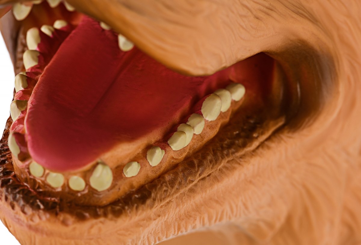 Zabawka dla psa Labrador Same Toy Glove X307Ut - obrazek 4