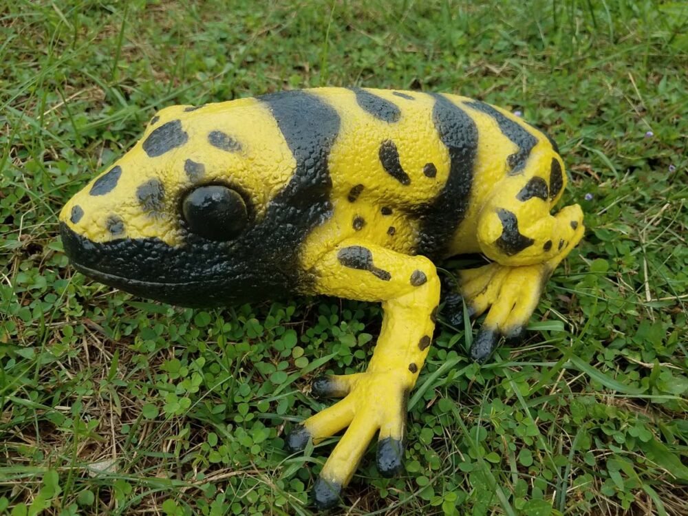 Shop Primary Image Shop Primary Image