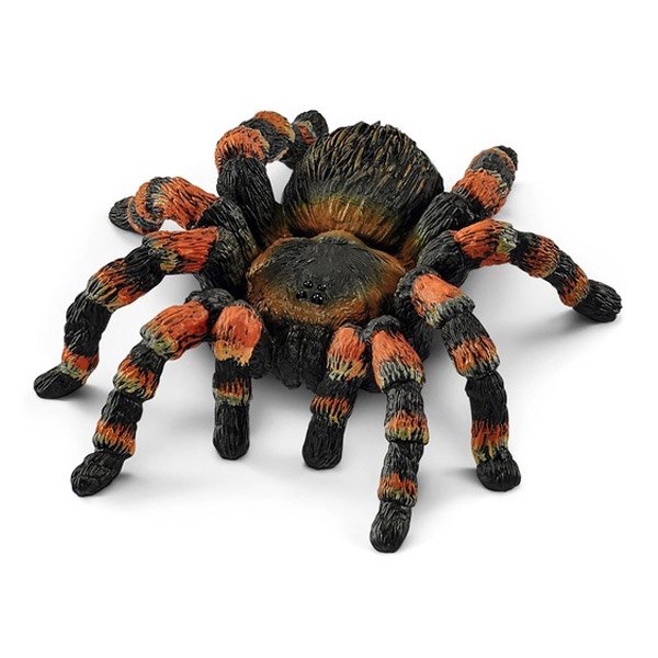 Shop Primary Image Shop Primary Image