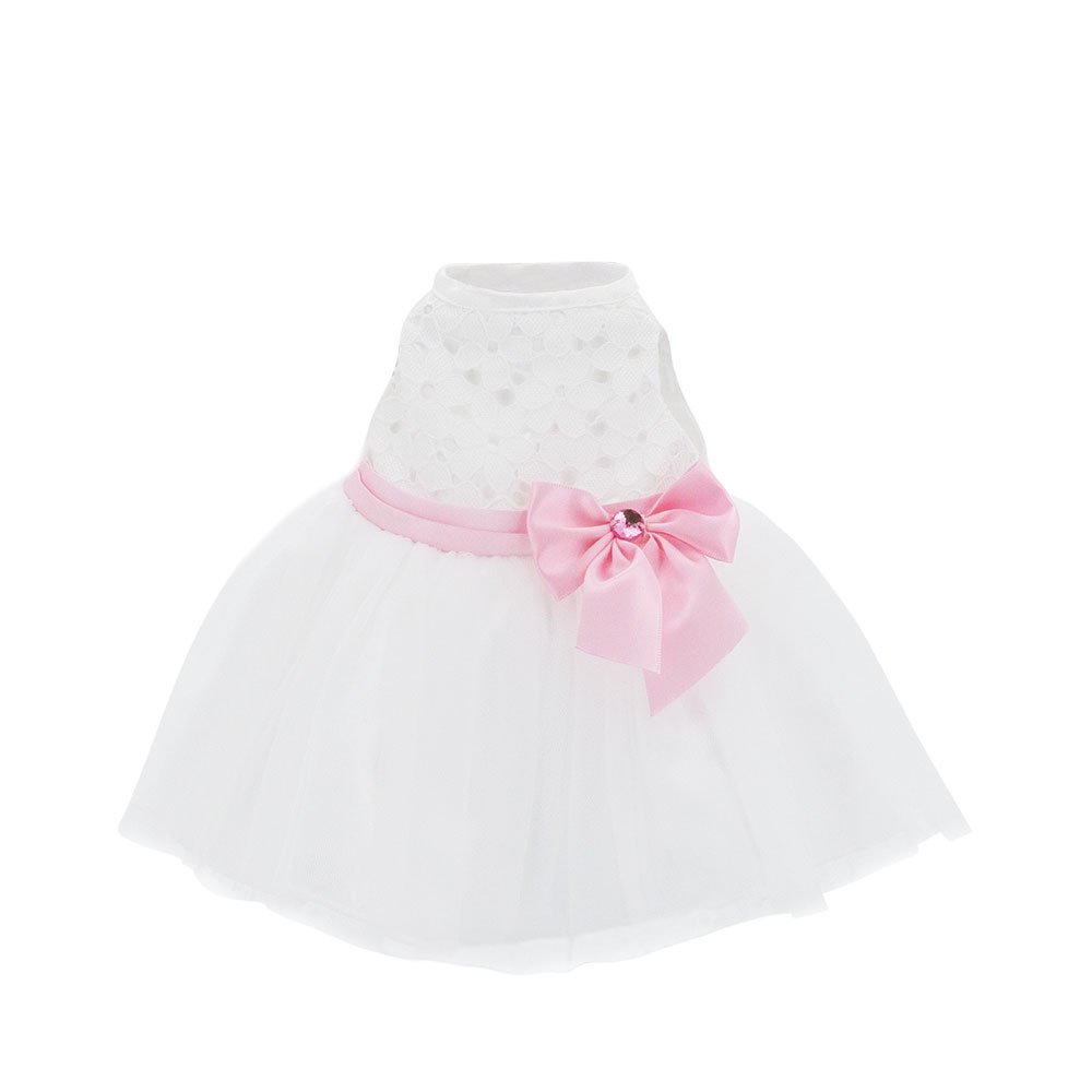 Shop Primary Image Shop Primary Image