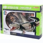 Model 3D krokodyla 4D Master FM-622034