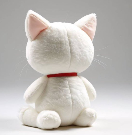 Biały kotek z czerwoną obróżką - obrazek 2