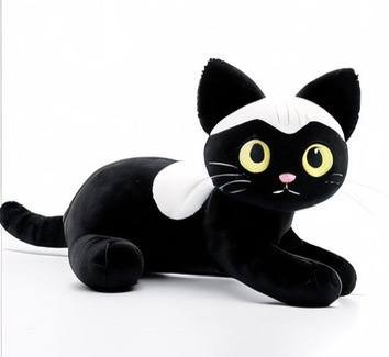 Czarny kotek z białymi łatkami - obrazek 3