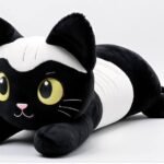 Czarny kotek z białymi łatkami